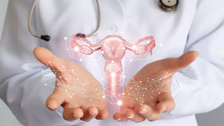 Know About Our Expertise